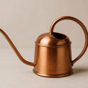 6 Decorative Copper Watering Can for Indoor Plants Small Metal Watering Pot with Ergonomic Handle and Long Narrow Spout for Precision Pouring